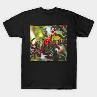 Berries IV T-Shirt